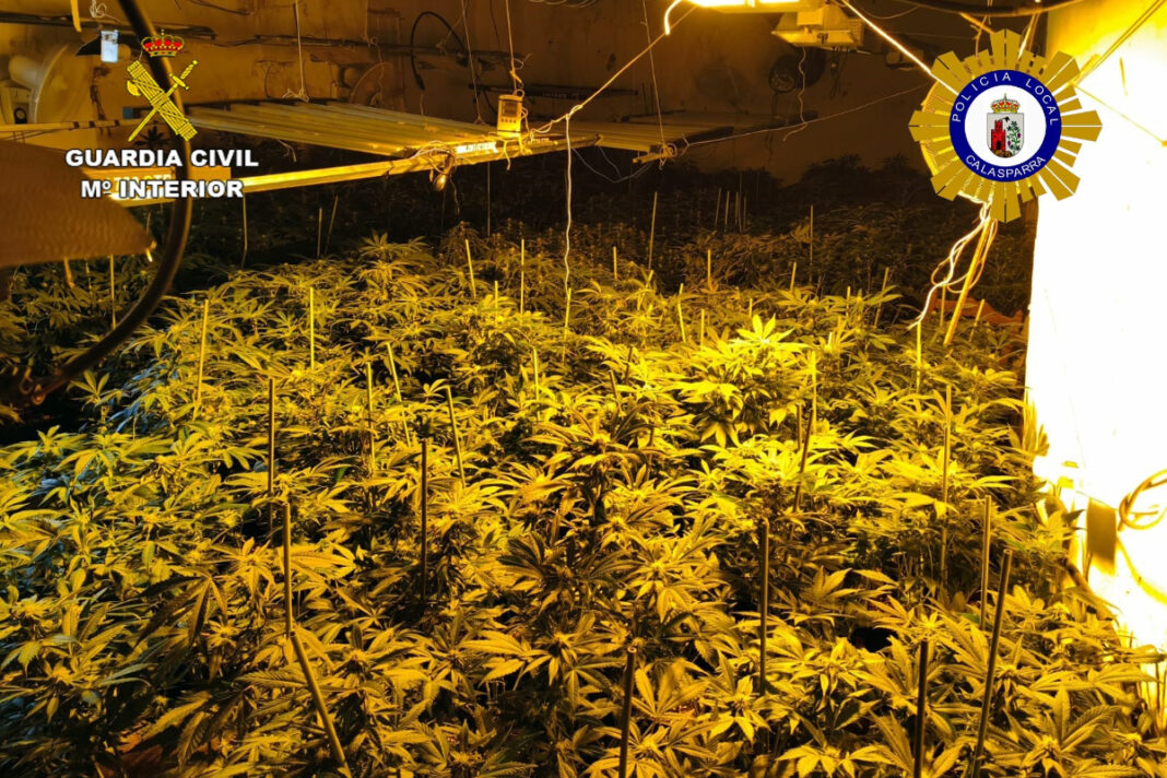 Desarticulada una trama empresarial en Tarragona y Granada que abastecía a redes albanesas de marihuana Desarticulada una trama empresarial en Tarragona y Granada que abastecía a redes albanesas de marihuana