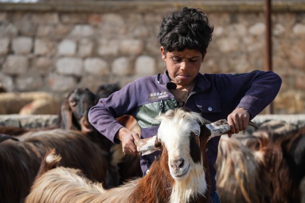 Un instituto público de Cataluña adapta su jornada escolar al Eid al-Adha Un instituto público de Cataluña adapta su jornada escolar al Eid al-Adha