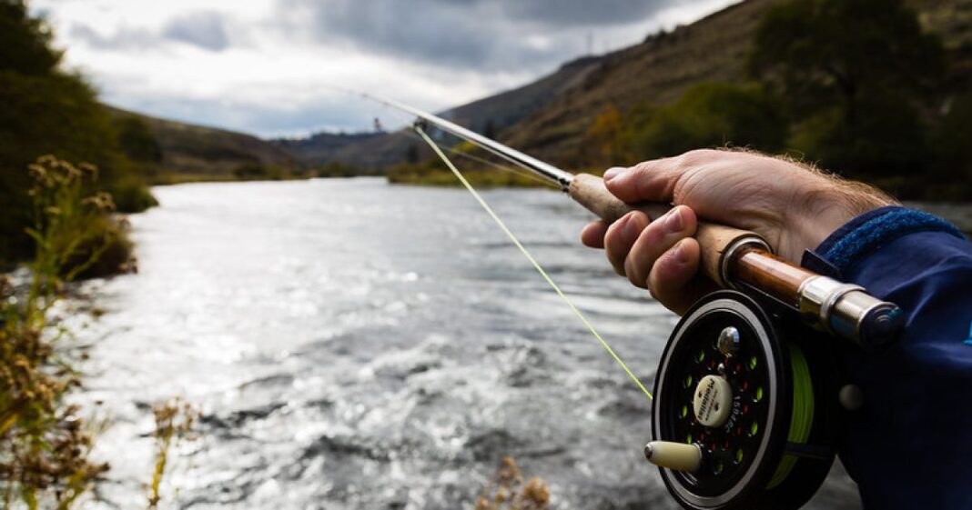 Una petición para prohibir la caza y la pesca en Oregón alcanza el umbral para el referéndum de otoño Una petición para prohibir la caza y la pesca en Oregón alcanza el umbral para el referéndum de otoño