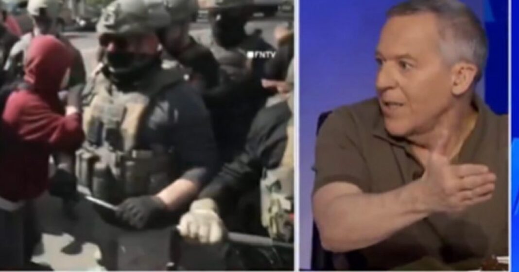 Greg Gutfeld critica la conducta de activistas anti-ICE en el Día de los Caídos Greg Gutfeld critica la conducta de activistas anti-ICE en el Día de los Caídos