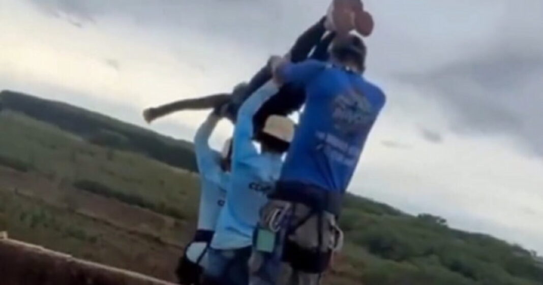 Una mujer de 21 años fallece en un salto de puenting en Brasil tras ser arrojada sin cuerda Una mujer de 21 años fallece en un salto de puenting en Brasil tras ser arrojada sin cuerda