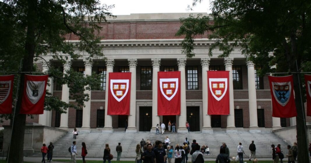 Un informe revela un preocupante porcentaje de estudiantes de Harvard que han sufrido problemas de salud mental Un informe revela un preocupante porcentaje de estudiantes de Harvard que han sufrido problemas de salud mental